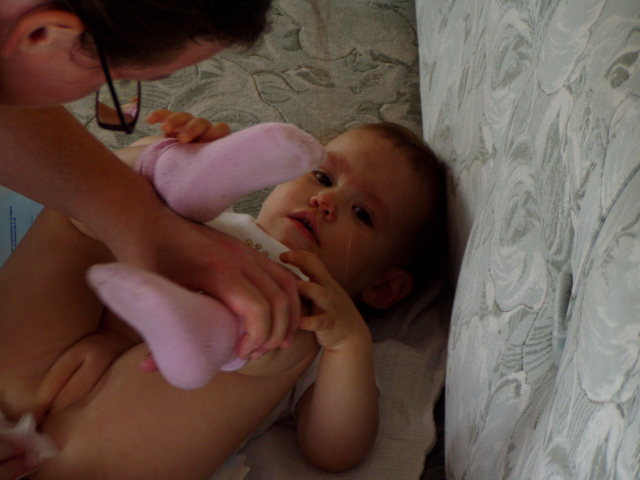 Scaled image p8250188.jpg 