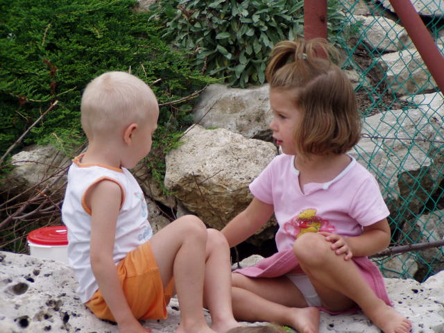 Scaled image p8250191.jpg 