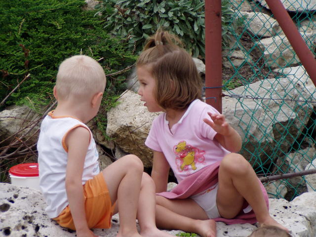 Scaled image p8250192.jpg 