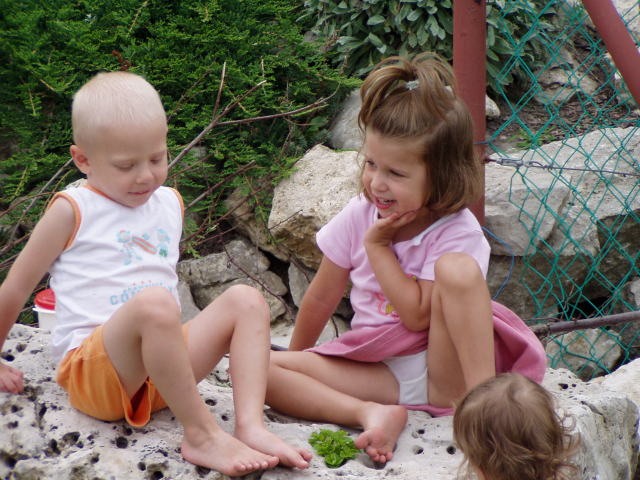 Scaled image p8250193.jpg 