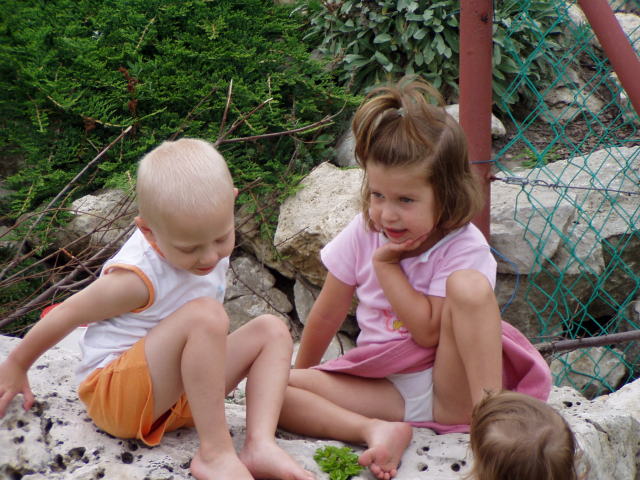 Scaled image p8250194.jpg 