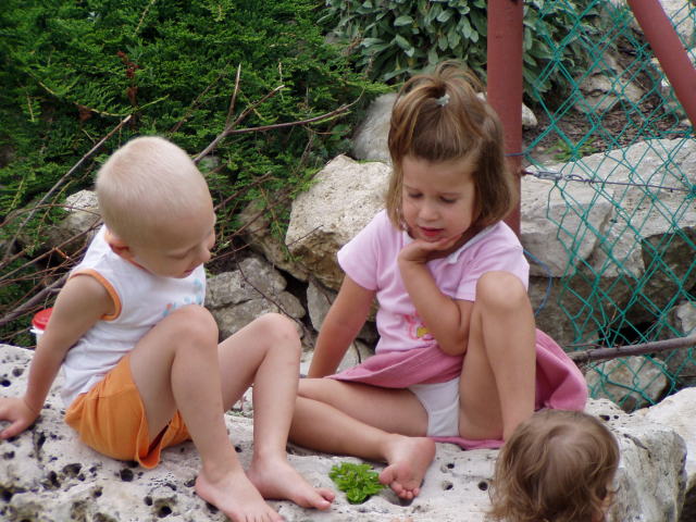 Scaled image p8250195.jpg 