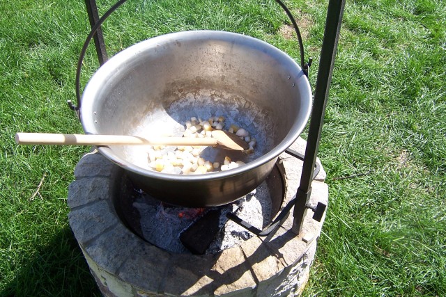 Scaled image 100_6841.jpg 