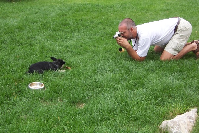 Scaled image 100_6861.jpg 