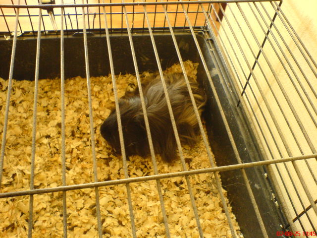 Scaled image dsc04284.jpg 