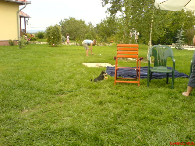 Scaled image dsc04297.jpg 