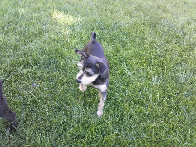 Scaled image dsc00435.jpg 