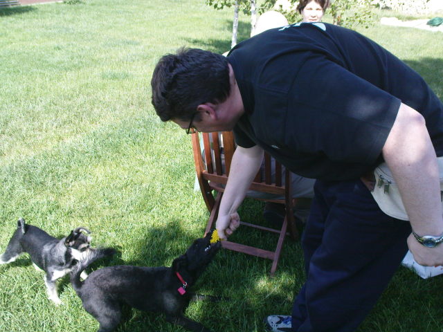 Scaled image dsc00438.jpg 