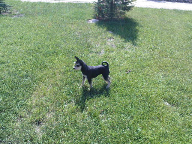 Scaled image dsc00452.jpg 