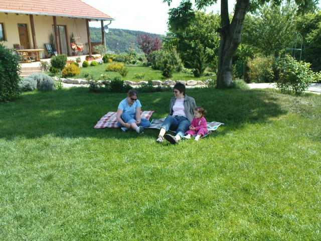 Scaled image dsc00491.jpg 