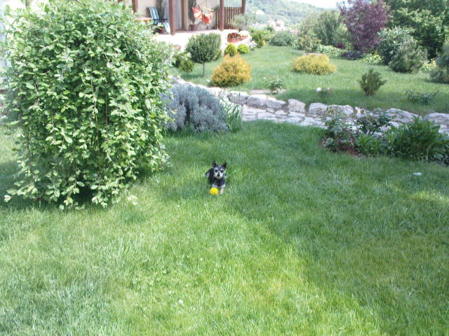 Scaled image dsc00513.jpg 