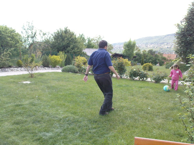 Scaled image dsc00516.jpg 