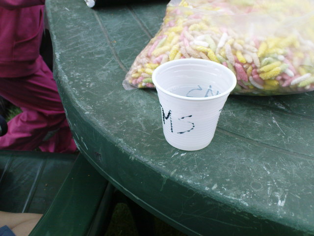 Scaled image dsc00524.jpg 