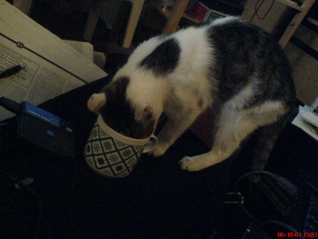 Scaled image b�greb�v�r.jpg 