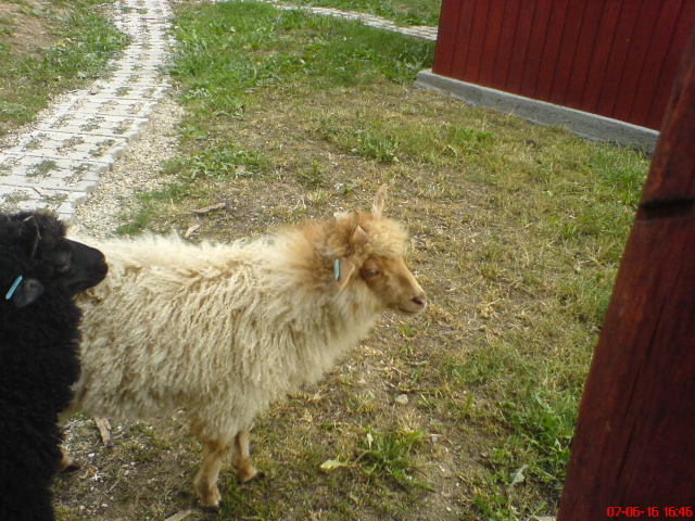 Scaled image dsc03401.jpg 