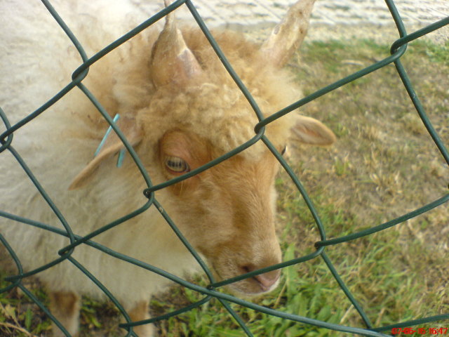 Scaled image dsc03403.jpg 