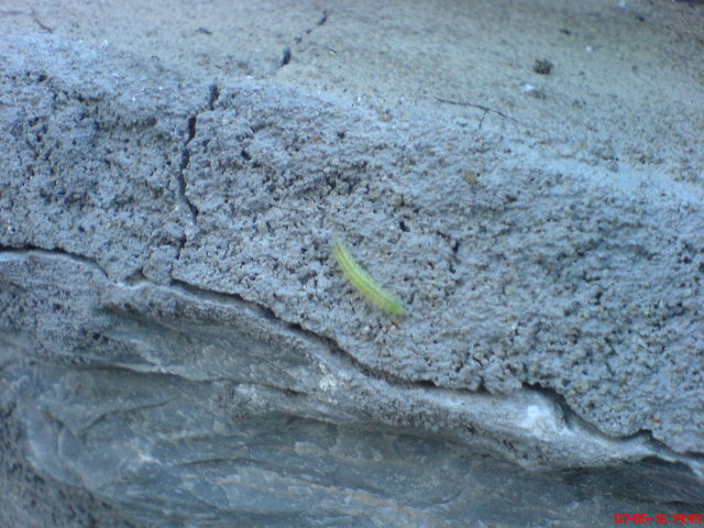 Scaled image dsc03406.jpg 