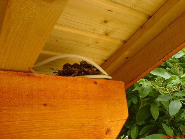 Scaled image dsc03511.jpg 