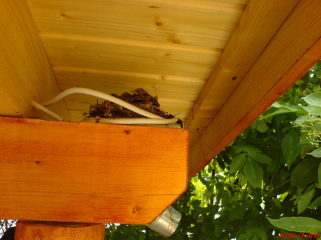 Scaled image dsc03512.jpg 