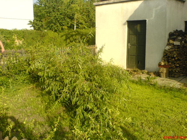 Scaled image irtottfuzfa.jpg 