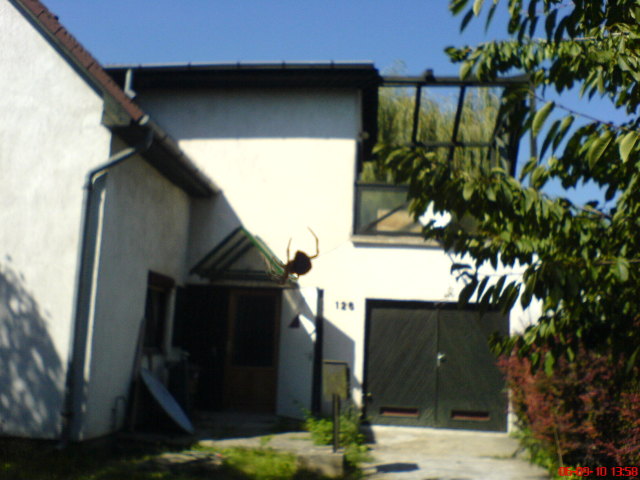 Scaled image poke2.jpg 