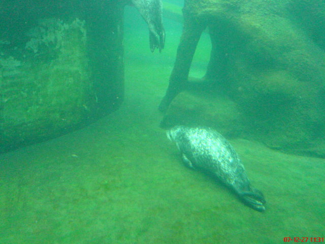 Scaled image dsc05546.jpg 