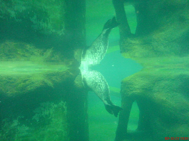 Scaled image dsc05547.jpg 