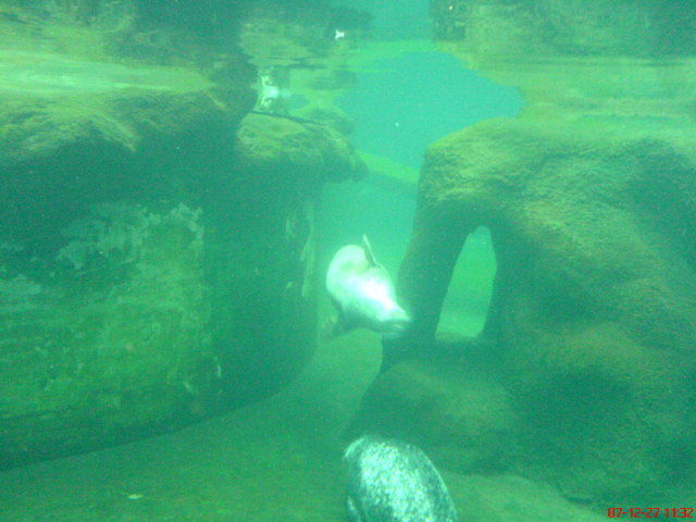 Scaled image dsc05550.jpg 