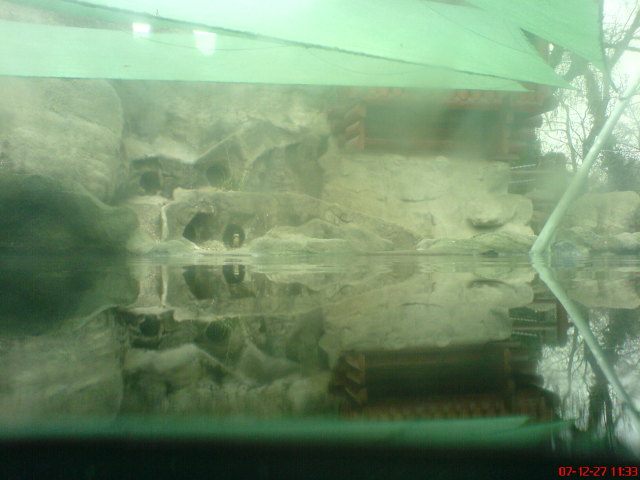 Scaled image dsc05552.jpg 