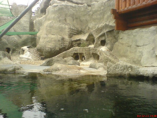 Scaled image dsc05554.jpg 