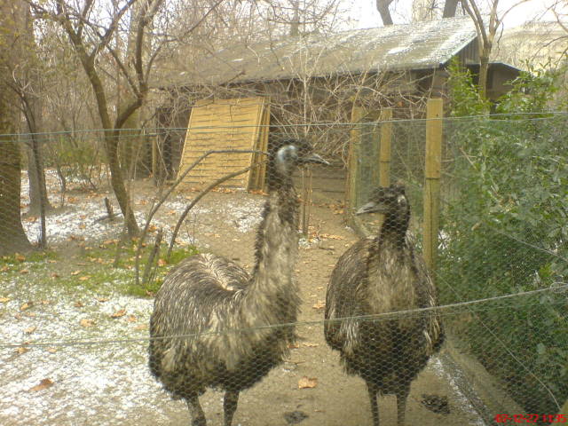 Scaled image dsc05556.jpg 