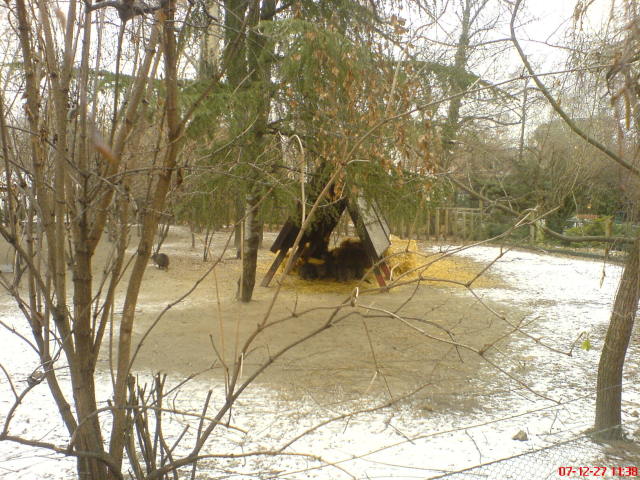 Scaled image dsc05558.jpg 