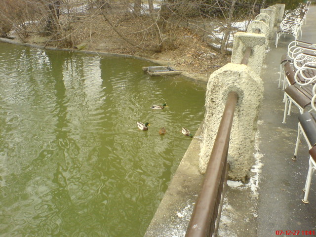 Scaled image dsc05561.jpg 