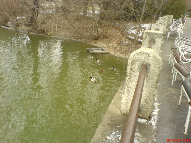 Scaled image dsc05562.jpg 