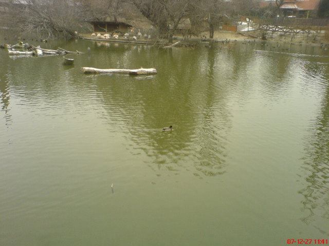 Scaled image dsc05563.jpg 