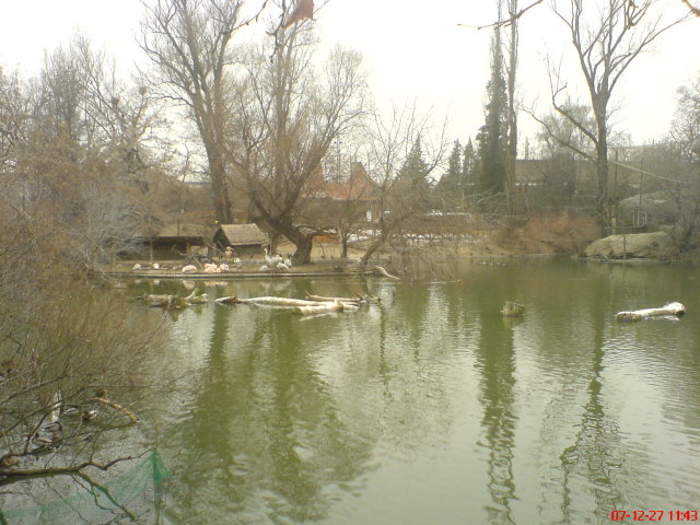 Scaled image dsc05564.jpg 