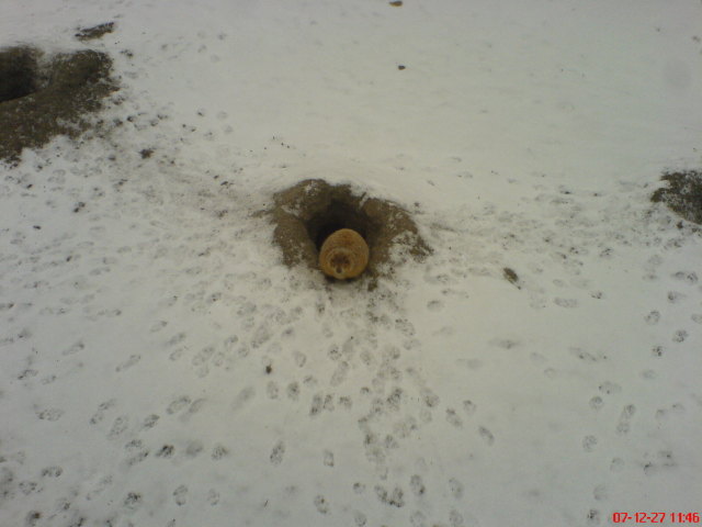 Scaled image dsc05569.jpg 