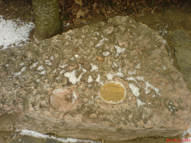 Scaled image dsc05575.jpg 