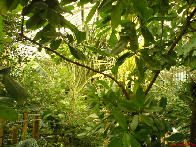 Scaled image dsc05579.jpg 