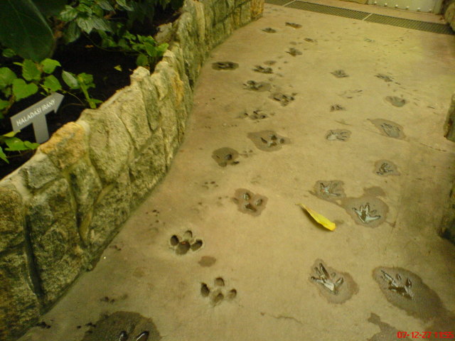 Scaled image dsc05580.jpg 