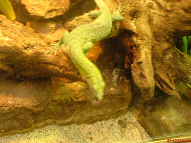 Scaled image dsc05581.jpg 