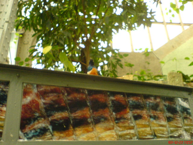 Scaled image dsc05590.jpg 