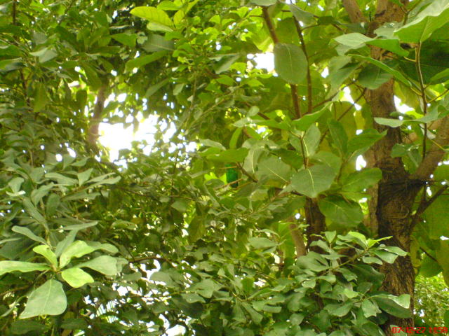 Scaled image dsc05592.jpg 