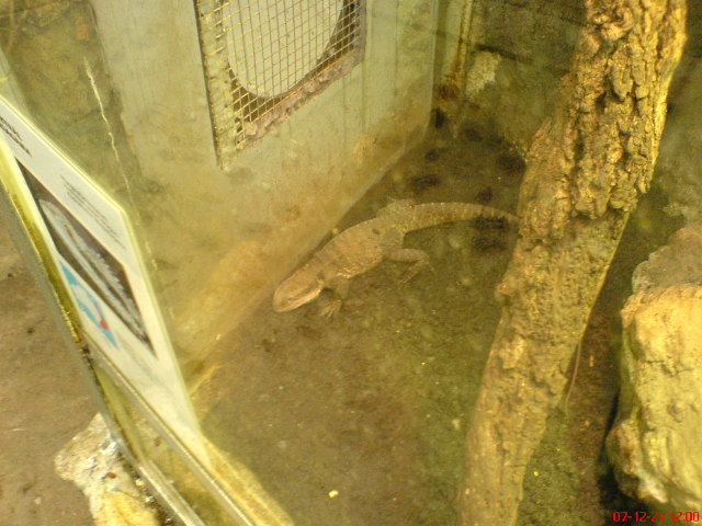 Scaled image dsc05594.jpg 