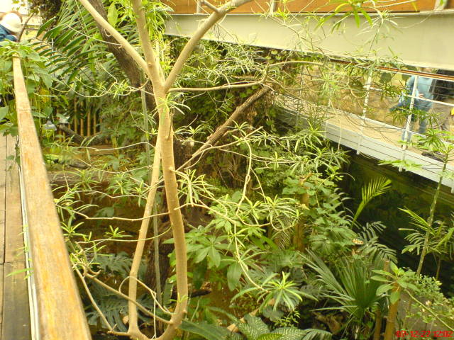 Scaled image dsc05595.jpg 