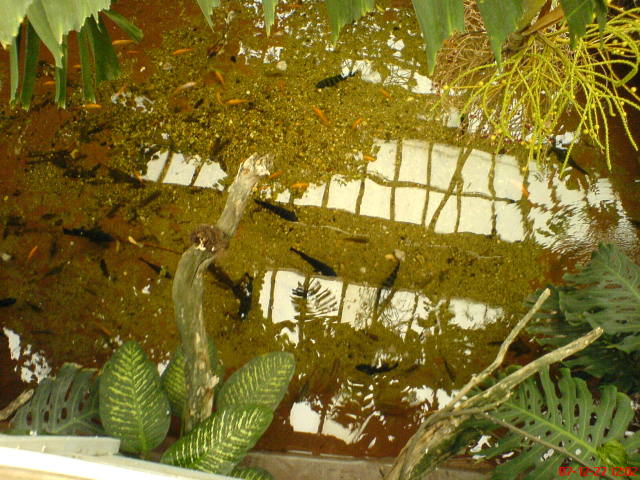 Scaled image dsc05597.jpg 