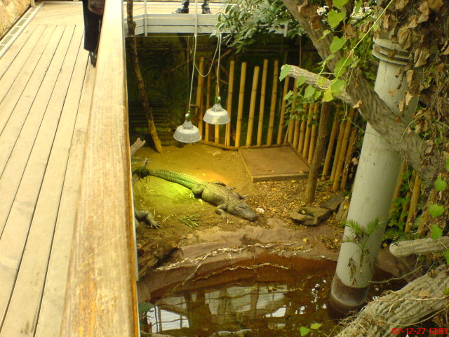 Scaled image dsc05598.jpg 