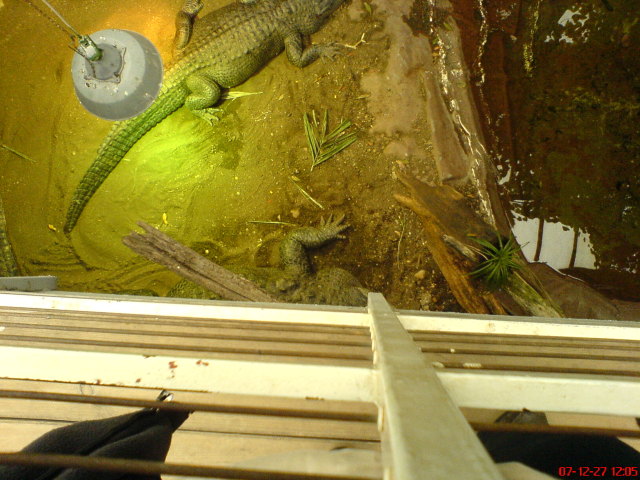 Scaled image dsc05600.jpg 