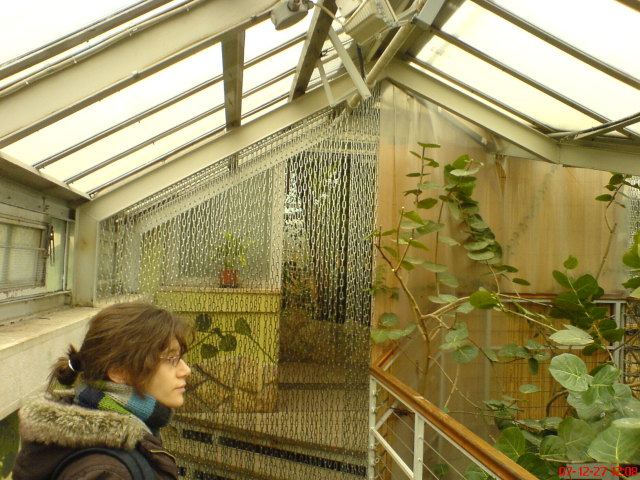 Scaled image dsc05602.jpg 