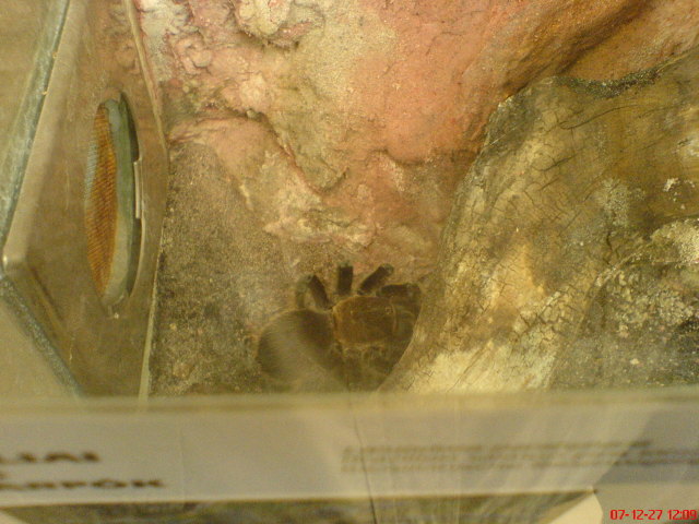 Scaled image dsc05603.jpg 